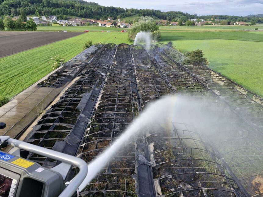 26.05.2025 Brand Gewächshaus in Gampelen