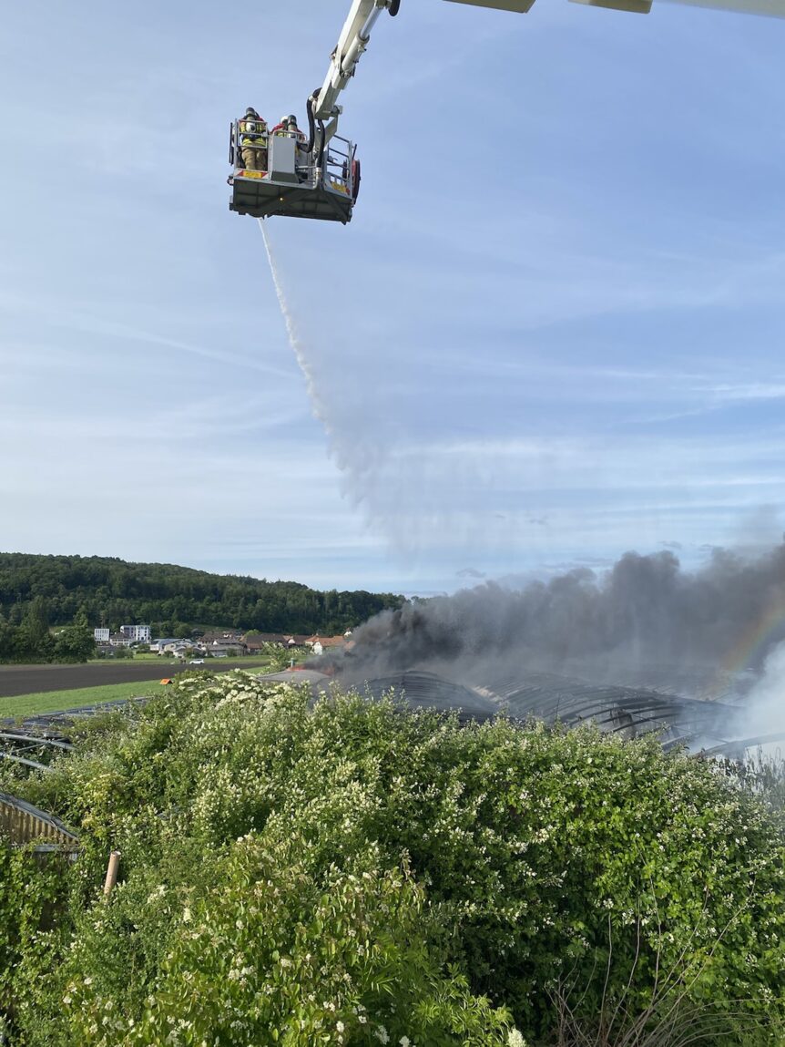 26.05.2025 Brand Gewächshaus in Gampelen
